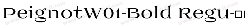PeignotW01-Bold Regu字体转换